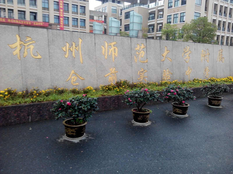 1448255197877202.jpg 2.jpg